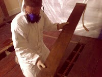 Woodworm Treatment Sussex 377227 Image 0